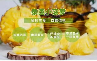 一口就上瘾 不用泡盐水的泰国小菠萝空降昆明,我一次能吃10个
