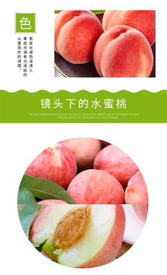 丰玺果品专业合作社-水蜜桃