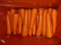 副食品干鲜果品_副食品干鲜果品厂家_副食品干鲜果品价格_世界工厂网移动版