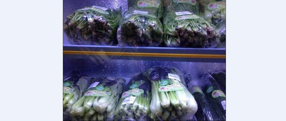 供应有机蔬菜低价批发--河南哪里供应的有机蔬菜经济实惠-焦作济源佳家生活用品配送