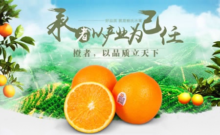 蒙阴北方果品专业合作社