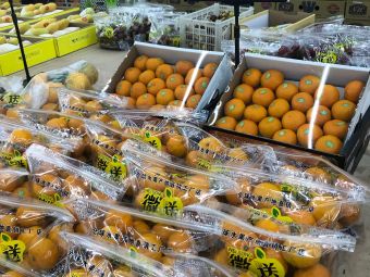 【微送鲜果果品批发行】如皋市连锁大全,点击查看全部1家分店