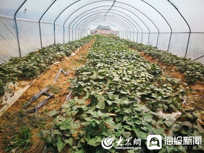 信息化+扶贫 荣成市催生脱贫新动能