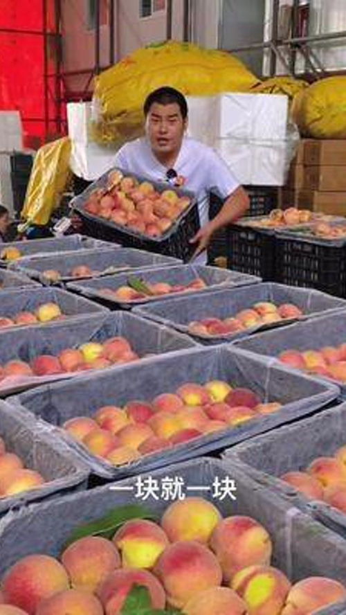 优质农产品新鲜应季水果